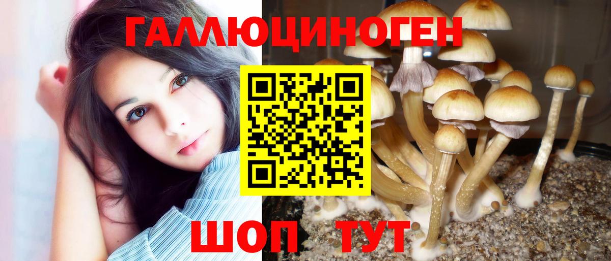 Первоуральск  Псилоцибиновые грибы ЛСД  магазин продажи наркотиков  Вход с VPN 